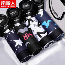 Antarctic men mens underwear mens boxer pure cotton comfortable and breathable youth fashion trend spring shorts head
