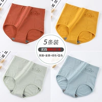 M180-High-waiste Swan-Group-Caramel+Ginger+Green+Blue (5)