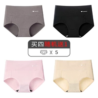 Mxy-G Group-Khaki+классический черный+элегантный порошок+теплый цвет кожи (5 штук)