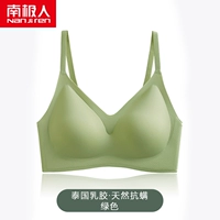 Dyt Green