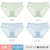 TXM-Warong Watch Eye [Matcha Matcha Grey Blue Blue Blue] (отправьте 2 трусики с 2 трусиками)