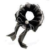 Кошка и собака окружают шею воротник рт рот водяной полотенцем