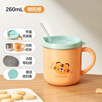 Съемный вкладыш, 260 мл