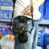 vành đai máy ảnh SLR khóa cách mới để mang máy ảnh Canon Ni Kangbin có chỗ phổ biến - Phụ kiện máy ảnh DSLR / đơn