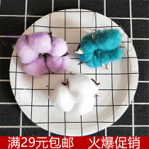 Natural cotton dried flower branches forever flower DIY dried flower decorative ornaments bouquet real flower photo shooting props