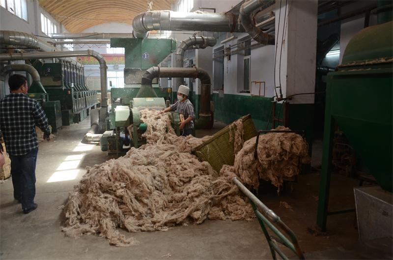 Chaussettes - collants - Ref 777960 Image 37