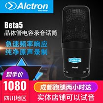 Alctron Aike Chuang beta5 large diaphragm condenser microphone recording K song Radio Live microphone