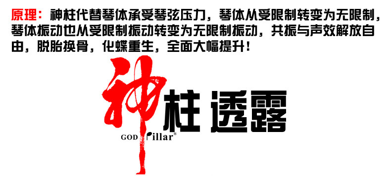 Страница сведений о скрипке (20200310 модифицировано) _01.jpg