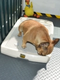 Туалет для любимой собаки, плоская моча, табуретка, гранул, Корки Тедди собака ящики для туалета ящики щенка дерьмо