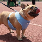 Truelove Мягкий и дышащий спина плюшевая плюшка Corgi Pet Dog Dog Fighting Bound Bess Smart Medium Size Byster