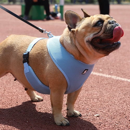 Truelove Мягкий и дышащий спина плюшевая плюшка Corgi Pet Dog Dog Fighting Bound Bess Smart Medium Size Byster