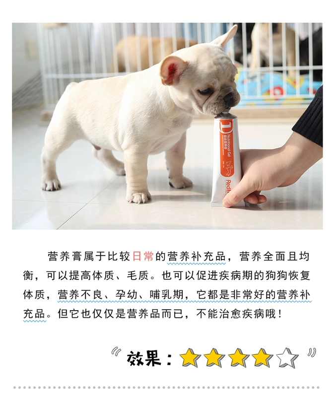 Kem dinh dưỡng chó đỏ 120g luật mèo chiến đấu Ke quỹ Mao Teddy chó dinh dưỡng chó con vitamin - Cat / Dog Health bổ sung