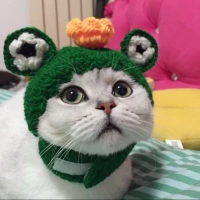 Лягушка принц