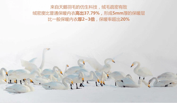 Quần mùa thu mỏng đơn mảnh sưởi ấm tuổi trẻ cộng với nhung ấm quần liên tục nhiệt độ quần lót xà cạp quần cotton