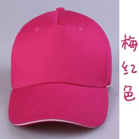 Роза красная