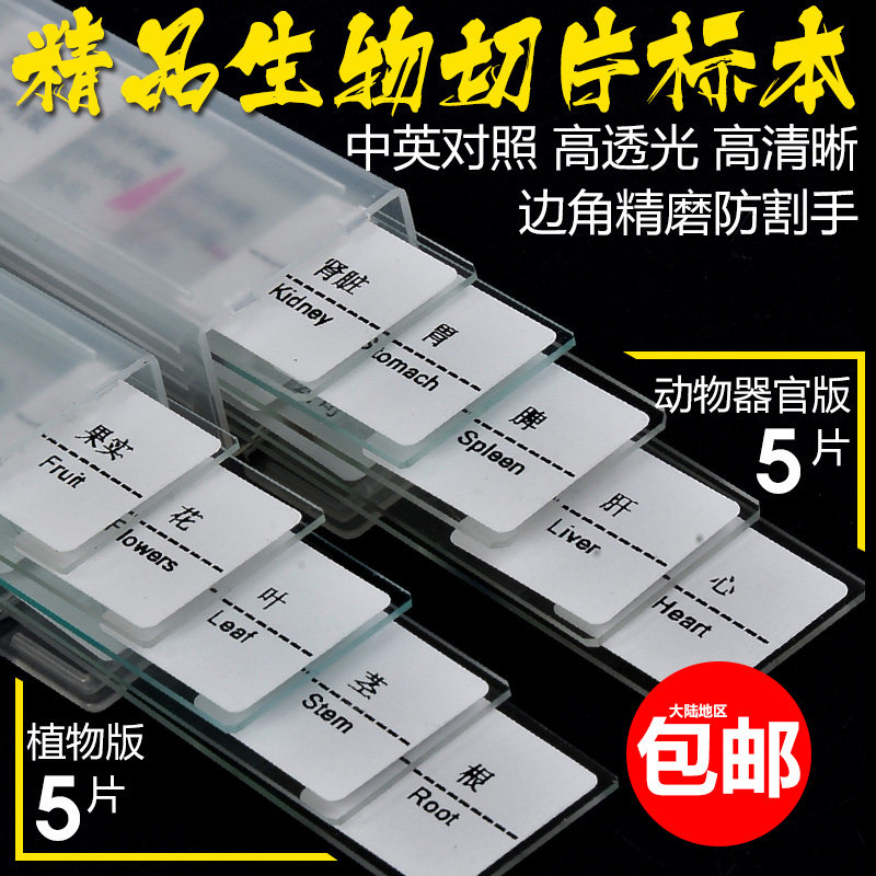儿童显微镜标本载玻片套装观察动物植物生物细胞科学实验样本切片