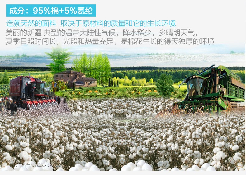 Pantalon collant Moyen-âge en coton - Ref 751787 Image 10