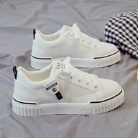 Белая и черная (кожаная лапша)