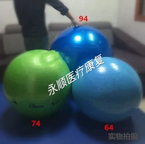 巴氏球进口大龙球康复器材成人平衡儿童感统训练按摩球包邮新