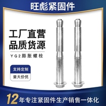 Source factory YG-2 expansion anchor bolt High-speed rail subway tunnel heavy-duty YG-3 expansion anchor expansion screw M16M20