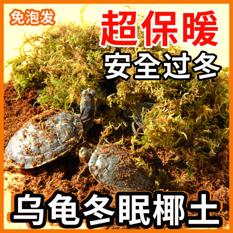 椰土苔藓饲养盒乌龟冬眠保暖垫材通用爬宠过冬套餐爬虫孵化用品