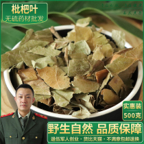 Loquat leaves 500g fresh dry dry pipa leaves are the leaves of non - companion bulb