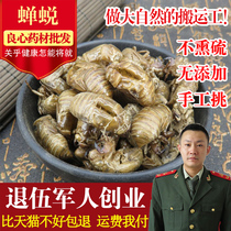 Chinese herbal medicine selected dry goods cicadas cicadas cicadas with cicadas back washed without soil 50g