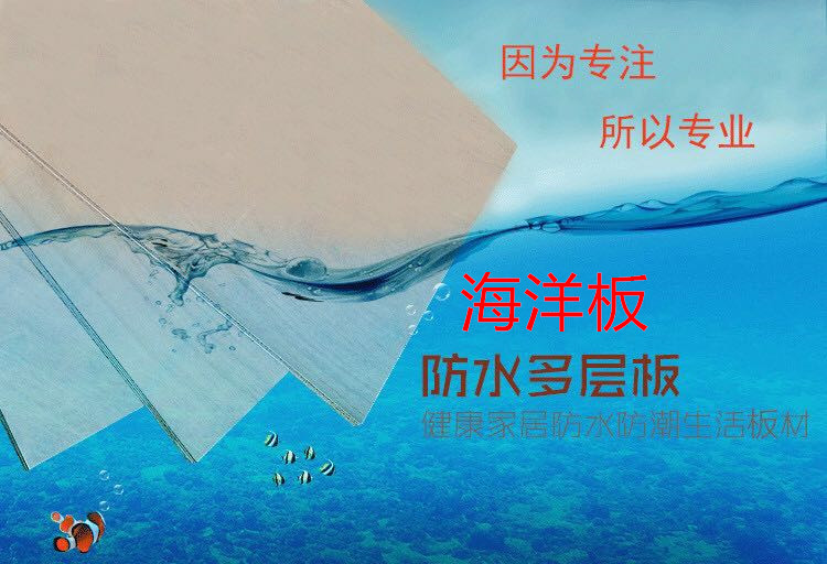 25mm imported birch ocean board E0 grade plywood solid wood furniture speaker board moisture-proof waterproof multi-layer board