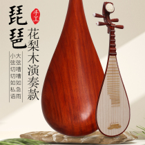 (Purchasing unit of the Conservatory of Music) Pipa instrument performance grade for adults and children specially designed for national musical instrument examinations