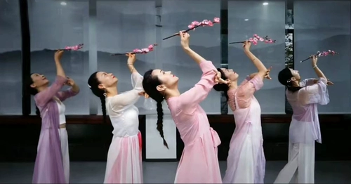 Классические танцы выходят из -за сжигания своих китайских симуляционных слив, персика сливы, розовые дети исполняют танцевальные реквизиты