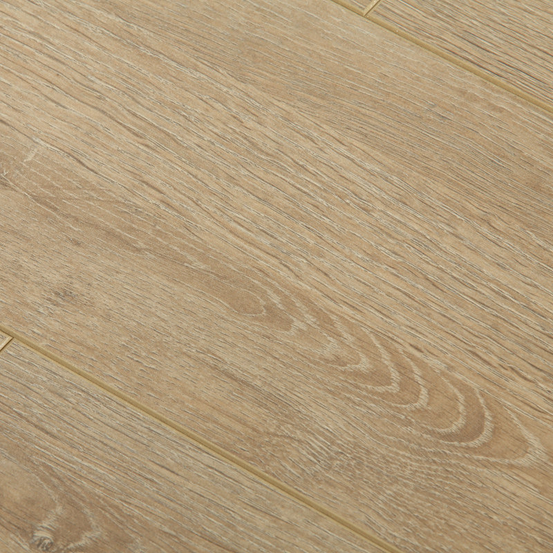 ����ǿ�����ϵذ�5005