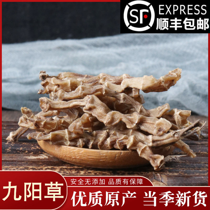 Jiuyang Grass Caterpillar Fungus Ginseng vegetable Zelangan Snow Ginseng Dry Goods 50g