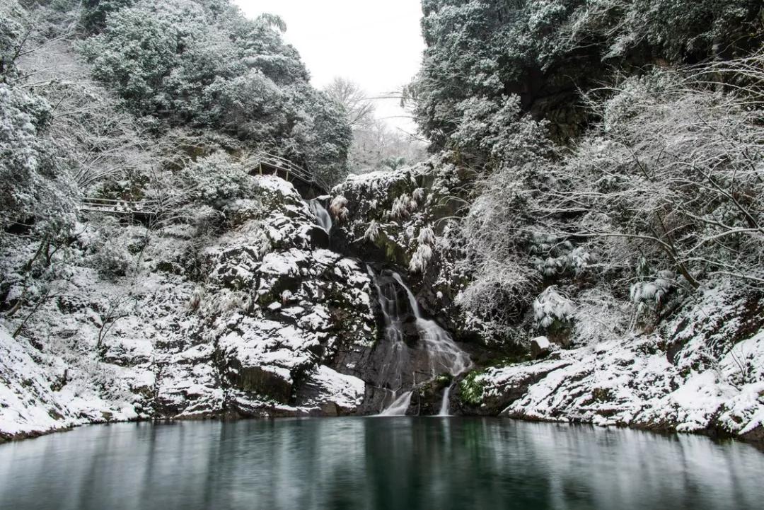 喜提2020第一场雪!雪后的江南美爆了110