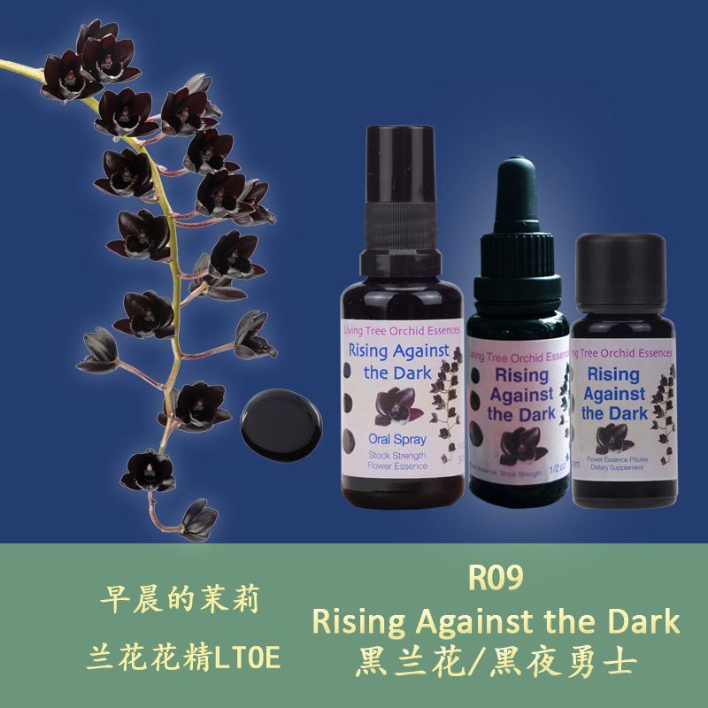 R09 Black Orchid Night Warriors Clear Deep Anxiety Calm UK LTOE Lanflower Flower Essence liquid granules