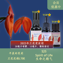 S25生命之精气 英国生命之树兰花花精液体颗粒