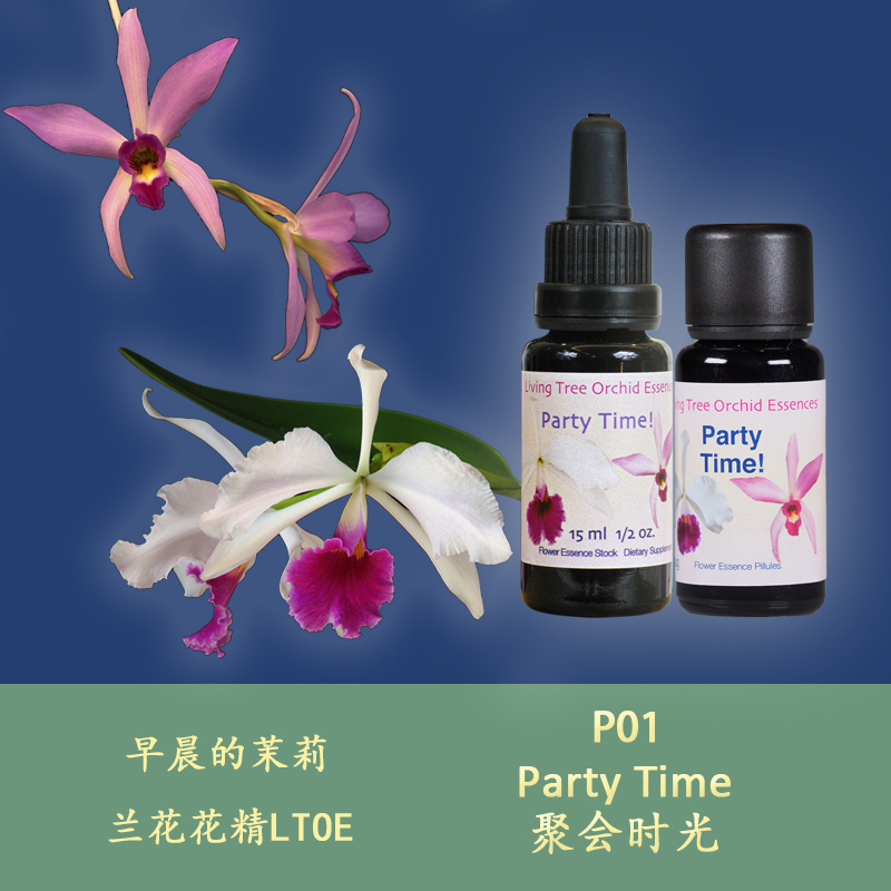 P01 Party Time Easy and Happy Sharing British LTOE Tree of Life Orchid Flower Essence Liquid Granules