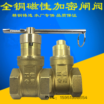  4 points 6 points Magnetic lock valve Magnetic encryption with lock gate valve Water meter front magnetic gate valve Magnetic key