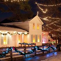 Amazon explosion-proof light string LED light string Copper wire light color light Lawn light Solar energy