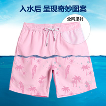 Gailang seaside beach pants men quick-drying loose size casual invisible print shorts boxers plain swimming trunks plain