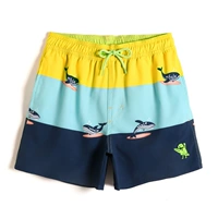 GKA2438 Huang Qing/Whale