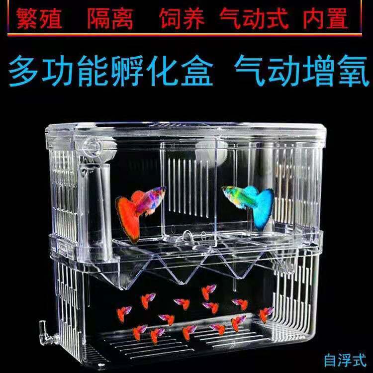 Fish Tank Aquarium Incubation Box Production House Breeding Box Isolated Box Anchovies Small Fish Production House