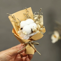 Шампанское хлопок