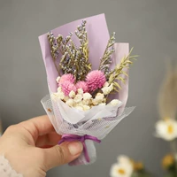 Тысячи красных мини -