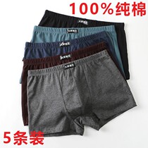 Antarctic person 100% pure cotton mens underwear antibacterial pure cotton flat angle pants breathable mid-aged four-corner daddy pants underpants