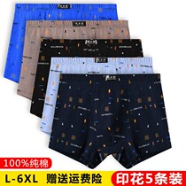 Hon Stark 100% pure cotton mens underwear flat angle pants cotton shorts head large size four-corner pants fattener loose bottom pants