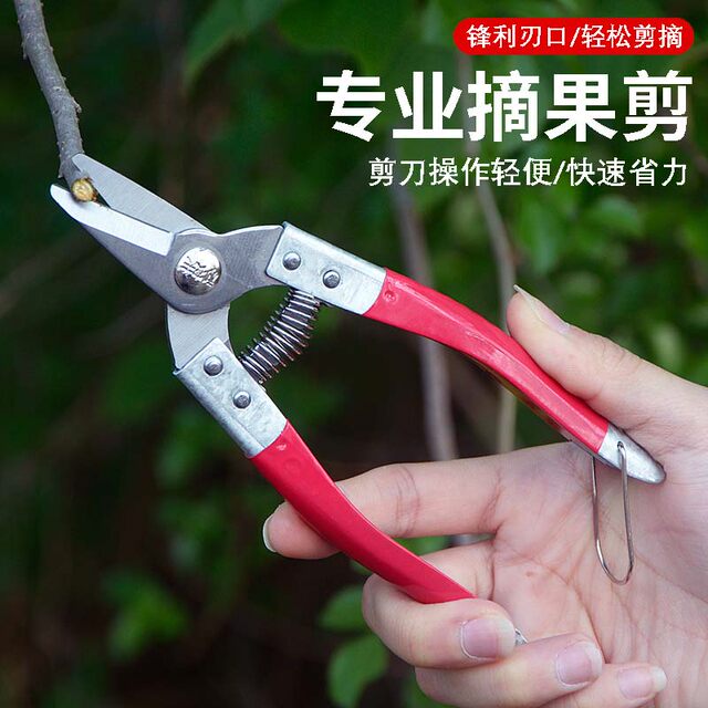 ສາຂາສະແຕນເລດ pruning shears ສໍາລັບເກັບຫມາກໄມ້, ດອກໄມ້ແລະຕົ້ນໄມ້, ຕົ້ນໄມ້ຫມາກໄມ້ສວນ, ສາຂາດອກໄມ້, ການຕິດຕາ, ເຄື່ອງມືມີດຕັດສວນ