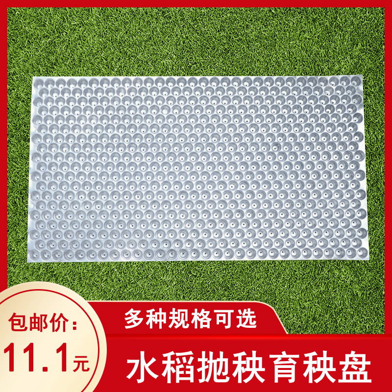 Plastic rice seedling tray 9 inch machine insert flat plate tower hand thrown rice seedling tray grain seedling pot transparent 434 holes