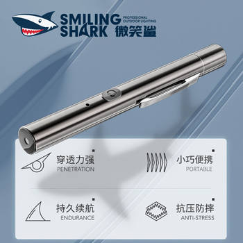 Laser Pointer USB Rechargeable Sales Department Model House Green Laser Light Cat Teasing Laser Flashlight Long-Range Teaching Light