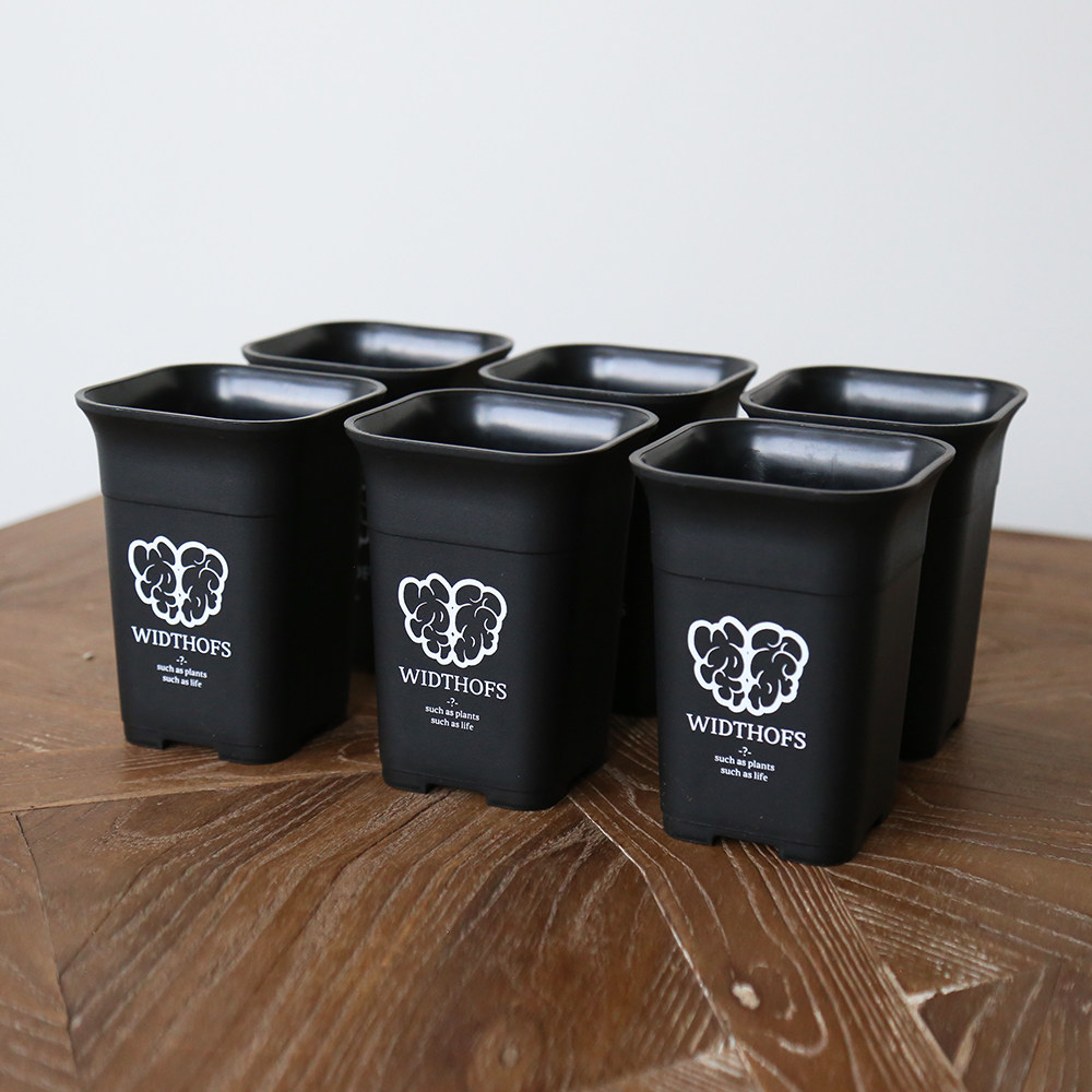 WOS plant aesthetics trend block root high waist pot thickets plastic black Japanese original Ivory Turtle Cyroll