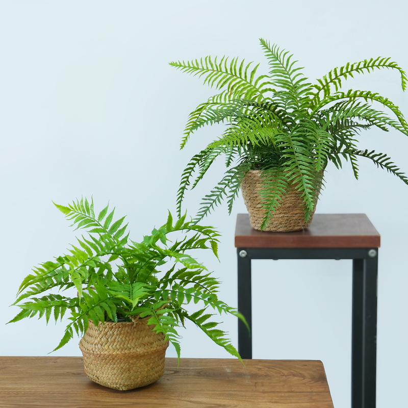 Nordic Natural Style Artificial Green Plants Peace Fern Potted Plants Hanging Orchid Flower Art Grass Basket Bonsai Ferns Fake Flowers Nordic Natural Style Artificial Green Plants Peace Fern Potted Plants Hanging Orchid Flower Art Grass Basket Bonsai Ferns Fake Flowers